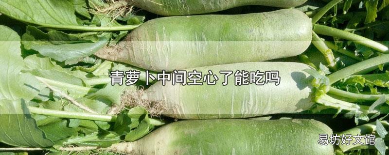 青萝卜中间空心了能吃吗
