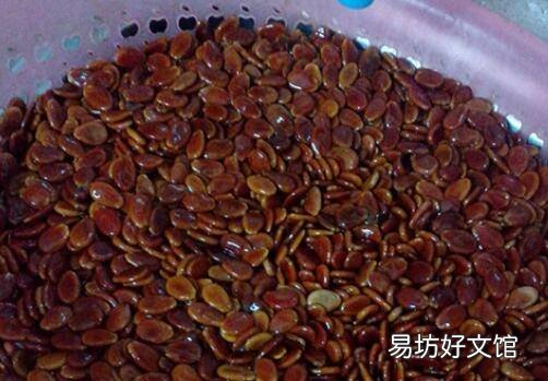 生的红瓜子怎么煮更入味