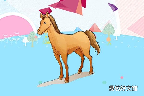 以梦为马不负韶华的意思