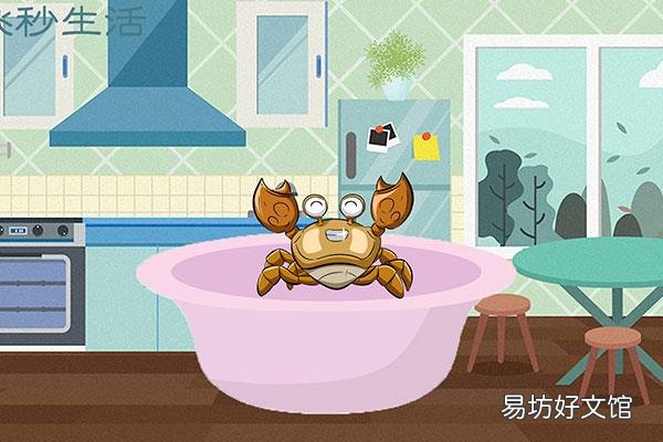 活螃蟹怎么保存到第二天