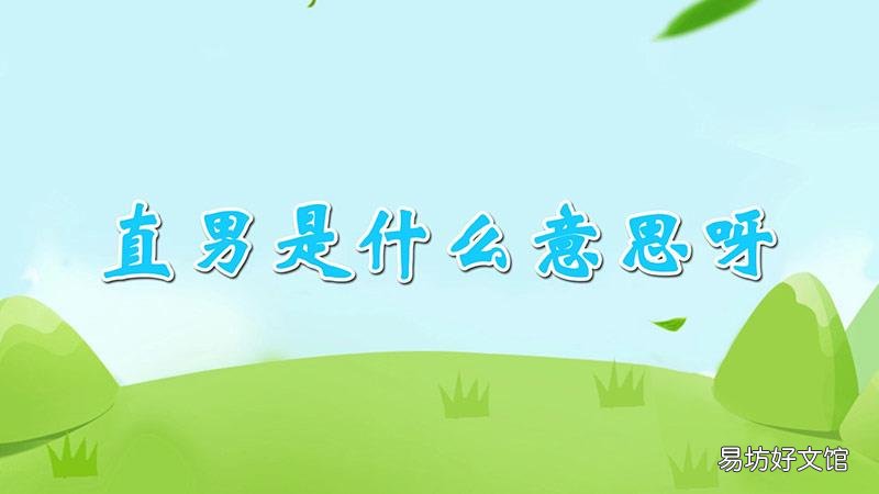 直男是什么意思呀