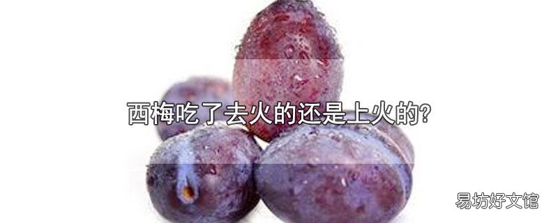 西梅吃了去火的还是上火的?