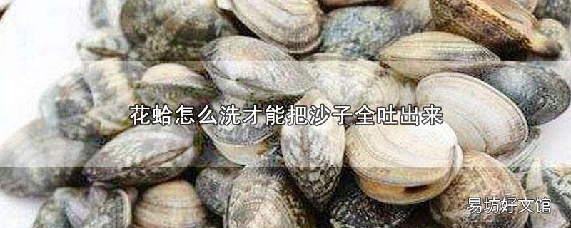 花蛤怎么洗才能把沙子全吐出来
