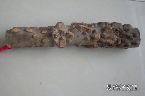 花椒木如何留疙瘩去皮