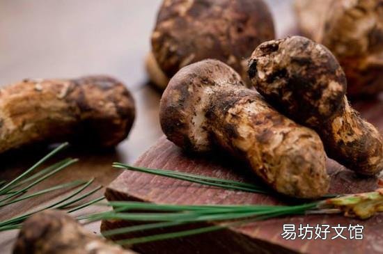 松茸上火吗