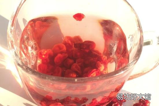 五味子可以泡酒吗