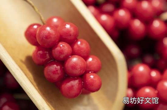 五味子可以泡酒吗