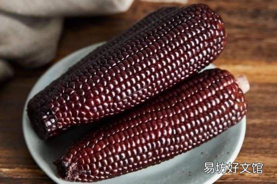 紫玉米煮了为什么会褪色