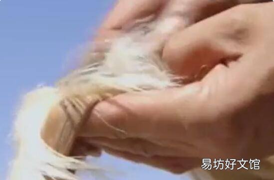 毛皮草木灰熟制方法