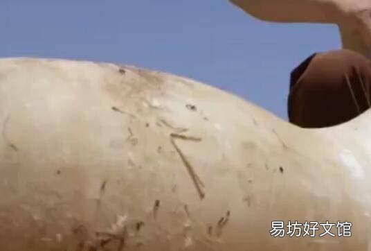 毛皮草木灰熟制方法