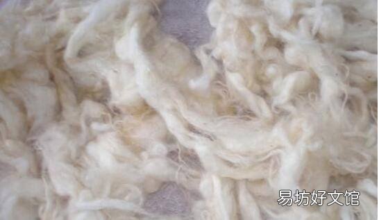 羊毛怎么做成毛线