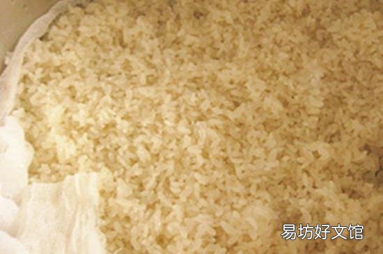 夏天甜酒酿的做法窍门