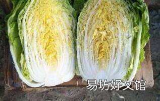 压白菜的制作方法
