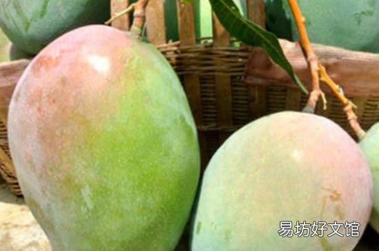 芒果有油漆味是怎么回事