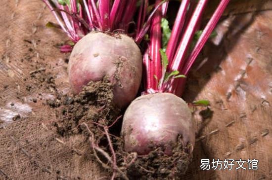 哪些人不宜吃紫菜头