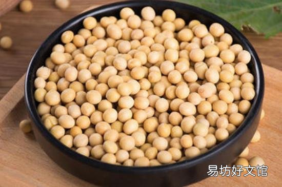 黄豆性寒还是性温