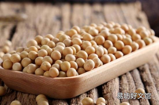 黄豆性寒还是性温