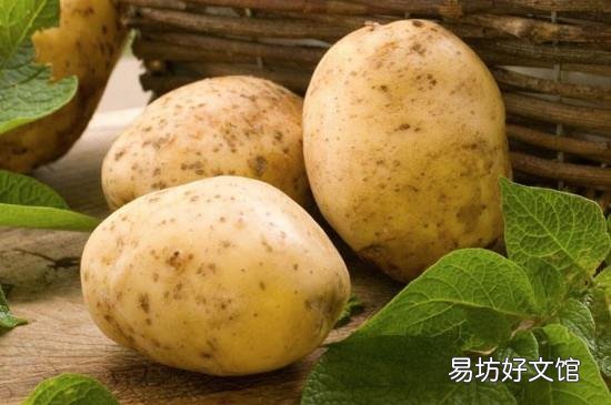 狗肉可以和土豆一起吃吗