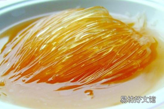 鱼翅是什么