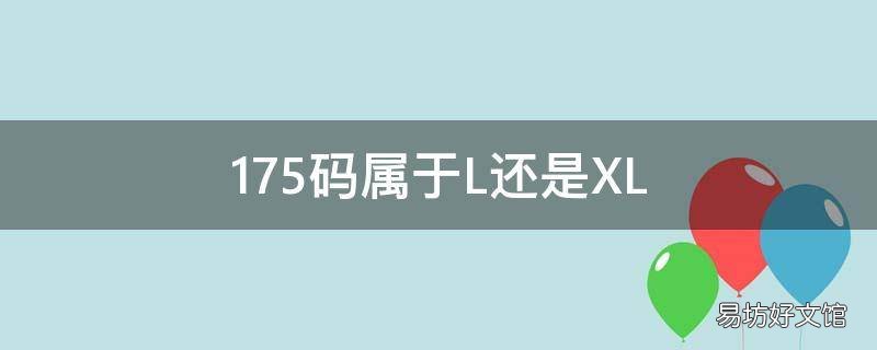 175码属于L还是XL