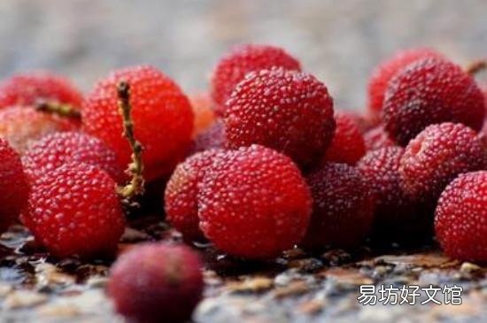 杨梅冷冻一年可以煮水吃吗