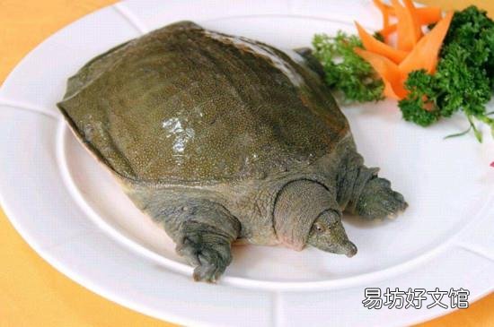 甲鱼头能吃吗
