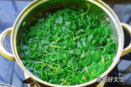 刚摘的艾叶能洗澡吗