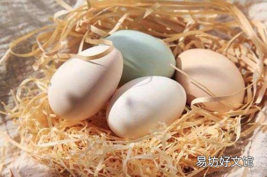 吃鹅蛋的禁忌