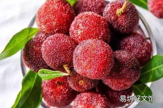 杨梅怎么保存时间长