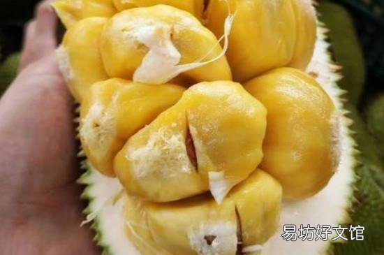 菠萝蜜按着多软才算熟