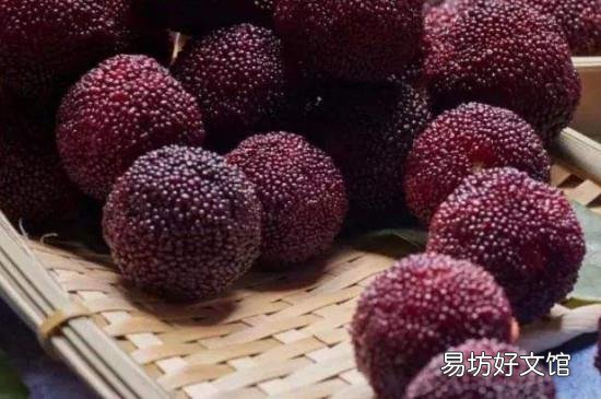 杨梅功效与作用