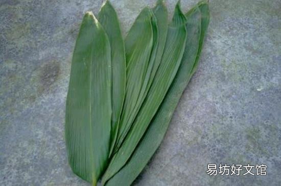 新鲜粽叶臭了还能用吗