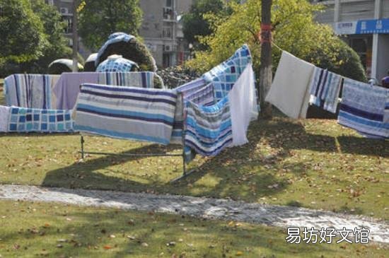 睡觉的床上有蚂蚁怎么处理