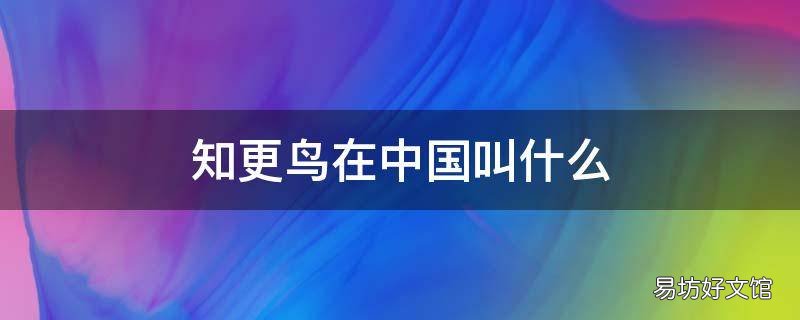 知更鸟在中国叫什么