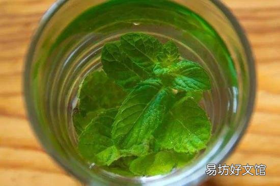 新鲜薄荷叶泡水的禁忌