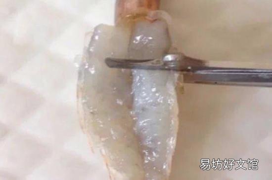 基围虾开背怎么开