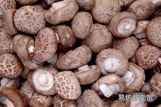 干香菇泡多久合适