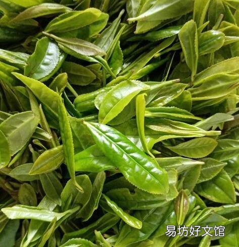自己摘的茶叶怎么炒