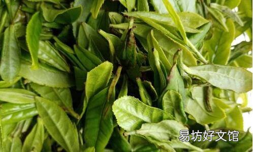 自己摘的茶叶怎么炒
