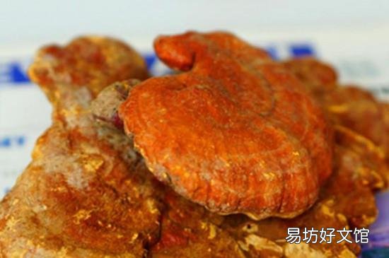 干灵芝保质期多久