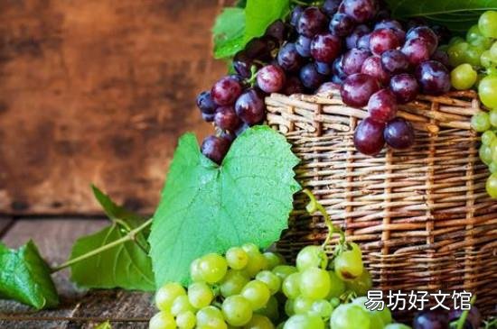 无籽葡萄对身体有害吗