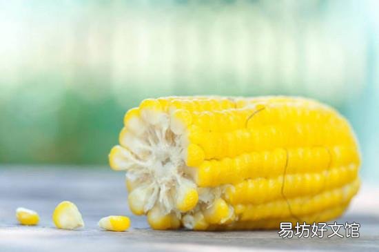 玉米棒子煮多久能熟