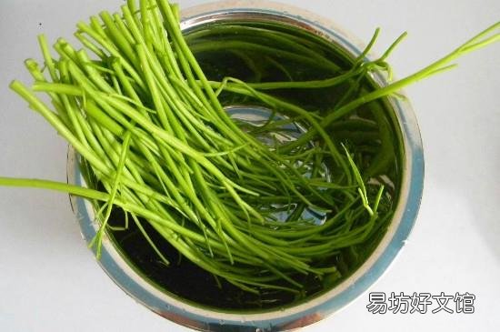 怎么摘空心菜