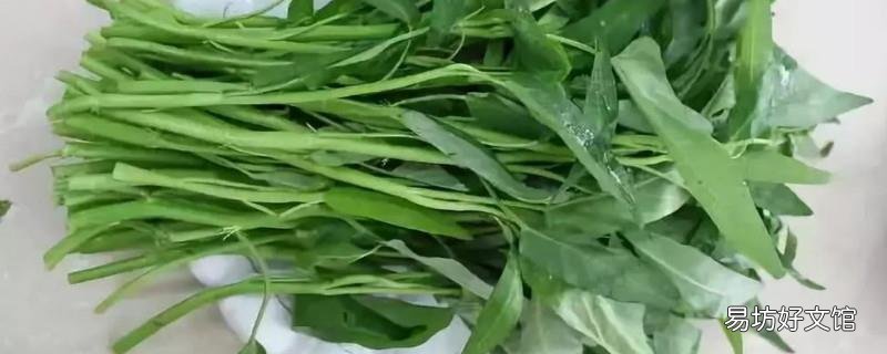 怎么摘空心菜