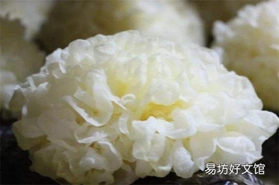 木耳的功效与作用