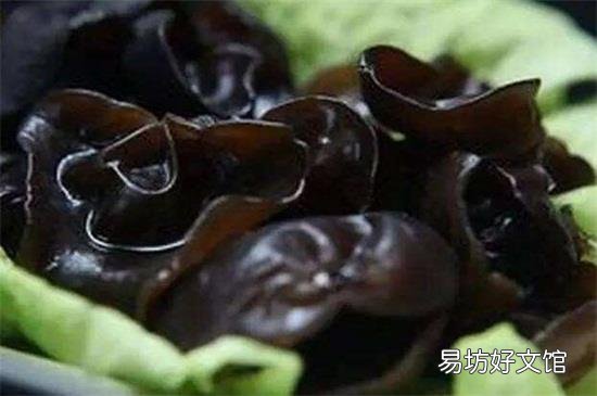木耳泡10小时还能吃不
