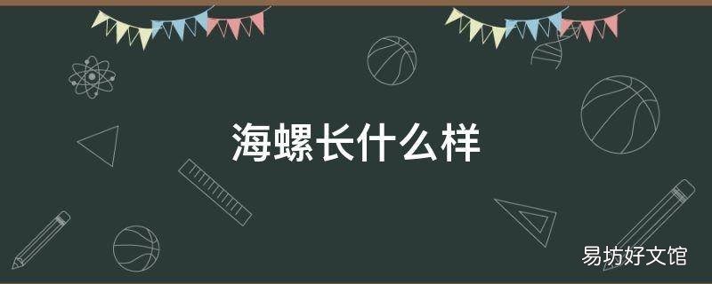 海螺长什么样