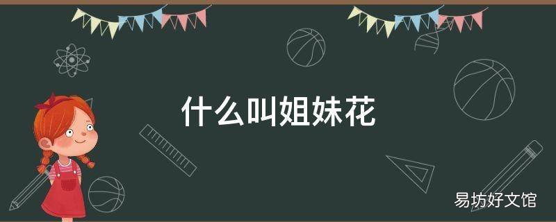 什么叫姐妹花