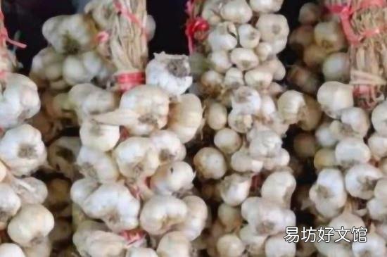 大蒜怎样可以储存一年