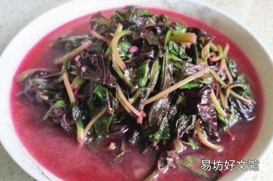 红叶苋菜的功效与作用
